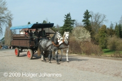 Pferdehof zur Elbaue in Wörlitz