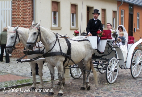 Pferdehof zur Elbaue in Wörlitz