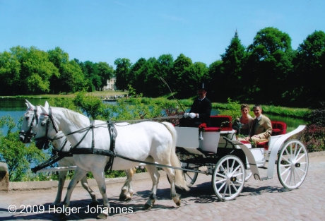 Pferdehof zur Elbaue in Wörlitz